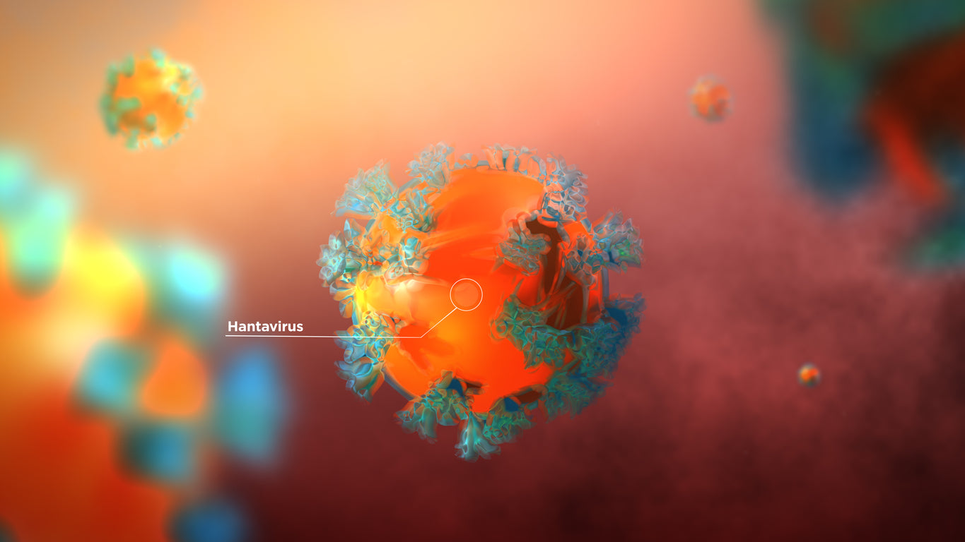 Hantavirus Statement